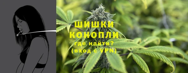 мдпв Медногорск