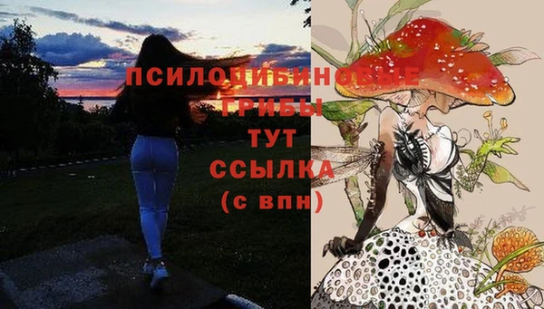 мяу мяу мука Михайлов